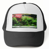 Aquascape hats