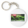 Aquascape Keychain