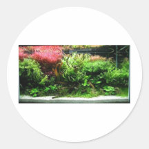 Aquascape Sticker