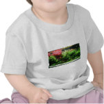 Aquascape Tee Shirts