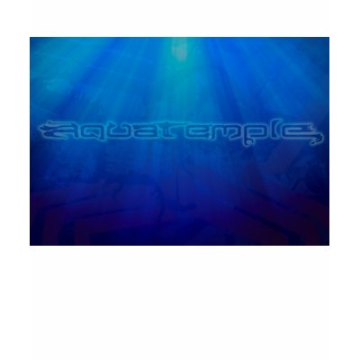aquatemple reverbnation tshirts by Aquatemple
