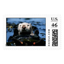 Aquatic  143 stamps