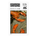 Aquatic 164 postage by StampsUSA Aquatic 164 postage