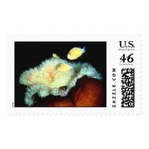 Aquatic  212 stamps