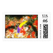 Aquatic  219 postage stamps