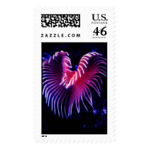 Aquatic 248 postage by StampsUSA Aquatic 248 postage
