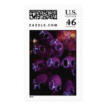 Aquatic 249 postage by StampsUSA Aquatic 249 postage