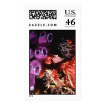 Aquatic 251 postage by StampsUSA Aquatic 251 postage