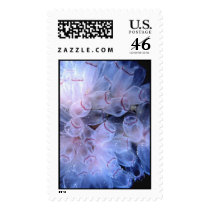 Aquatic 252 postage by StampsUSA Aquatic 252 postage