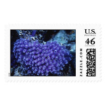 Aquatic 253 postage by StampsUSA Aquatic 253 postage