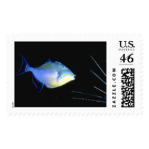 Aquatic 255 postage by StampsUSA Aquatic 255 postage