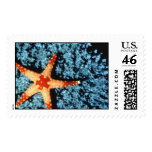 Aquatic  311 stamps