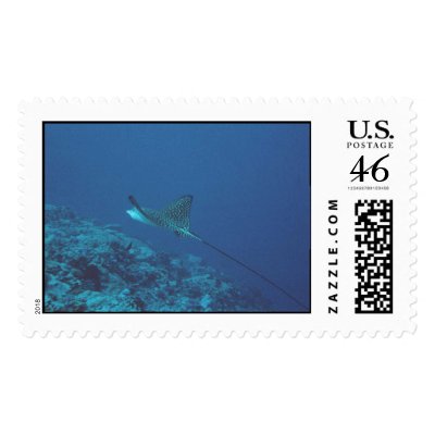 Aquatic 313 postage