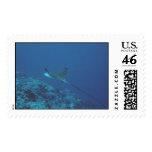 Aquatic  313 stamps