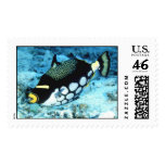 Aquatic  56 stamps