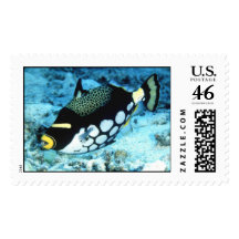 Aquatic  56 stamp