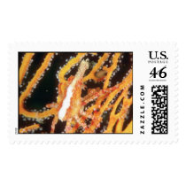 Aquatic  86 stamps