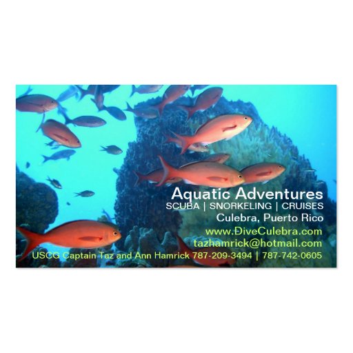 Aquatic Adventures Biz Card! Business Card Templates (front side)