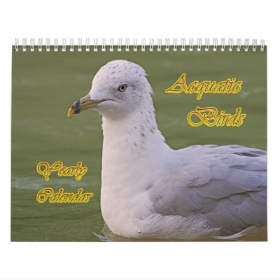 Aquatic Birds Yearly Calendar by Pandion