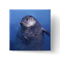 Aquatic buttons