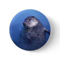 Aquatic buttons