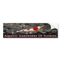 Aquatic Gardeners of Florida- Crystal Red Shrimp Bumper Sticker