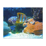 Aquatic Landscape - Wrapped Canvas Canvas Prints