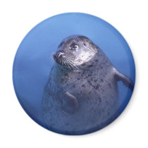 Aquatic magnets