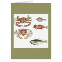 Aquatic Notes Greeting Card