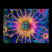 Aquatic Paradise posters