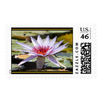 Aquatic Plant Life postage by acreativespirit Aquatic Plant Life postage
