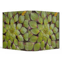 Aquatic Plants Rupununi, Guyana. 3 Ring Binders