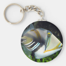 aquatic scenes trigger fish keychain