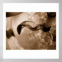Aquatic Sepia Print