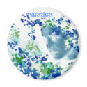 Aquatica magnets