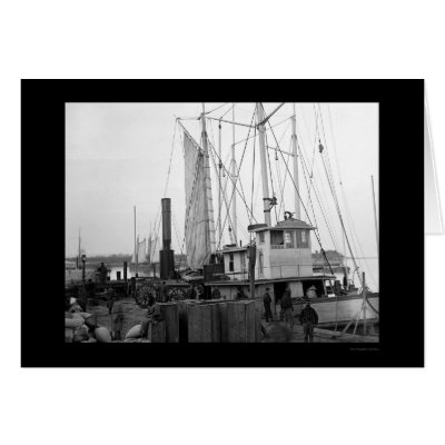 Aquia Creek Landing in Virginia 1864 Cards by lc_civilwar