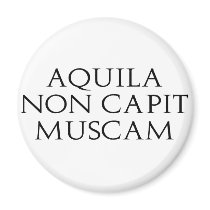 Aquila Non Capit Muscam Magnet