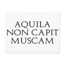 Aquila Non Capit Muscam postcards