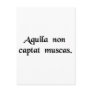 Aquila non captat muscas postcard