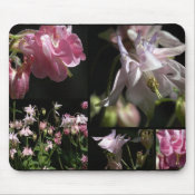 Aquilegia Gallery mousepad