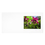 Aquilegia. Plum purple flowers. Photo Card