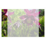 Aquilegia. Plum purple flowers. Stationery