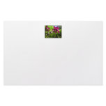 Aquilegia. Plum purple flowers. Stationery