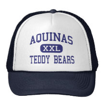 Aquinas - osos de peluche - alto - Bronx Nueva Yor Gorros Bordados