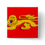 Aquitaine, France flag Pinback Button