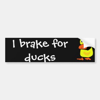 AR- Primitive Duck Design