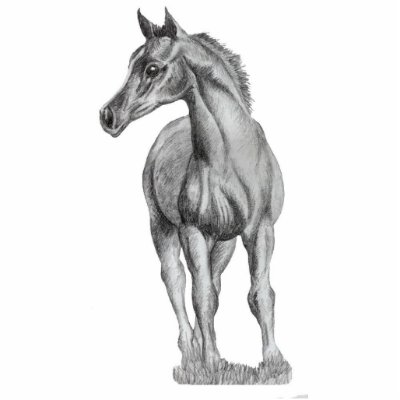 arab foal standing, photo sculpture by Mindgoop