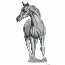 arab foal standing, photo sculpture