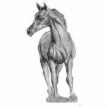 arab foal standing, photo sculpture