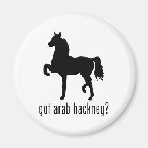 Arab Hackney Magnet